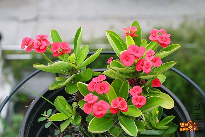 ��Ƭ 043_����.jpg