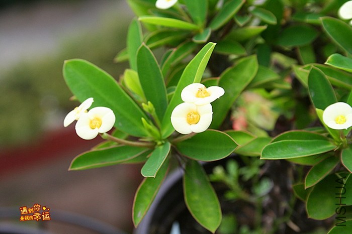 ��Ƭ 091_����.jpg