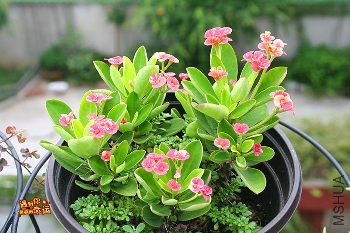 ��Ƭ 040_����.jpg