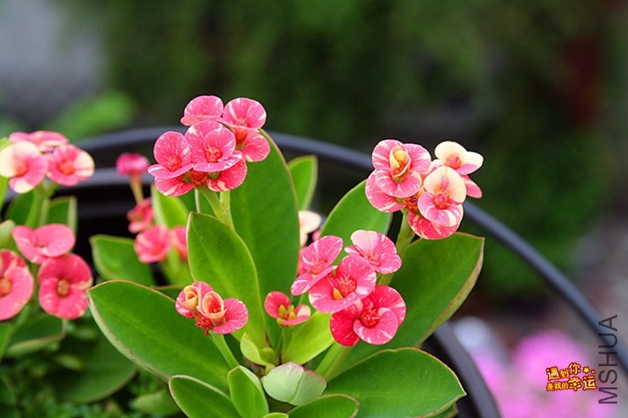 ��Ƭ 041_����.jpg