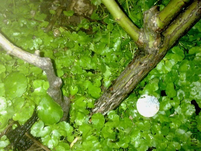 082120131481.jpg