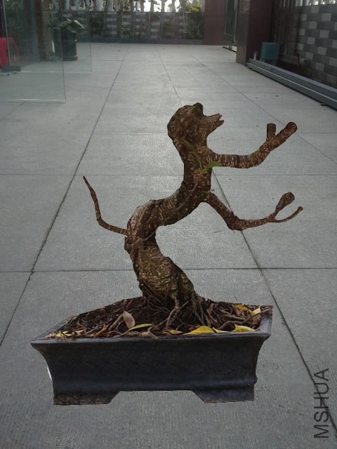 20130820_070300.jpg