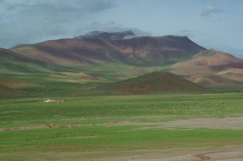 IMGP0514.JPG
