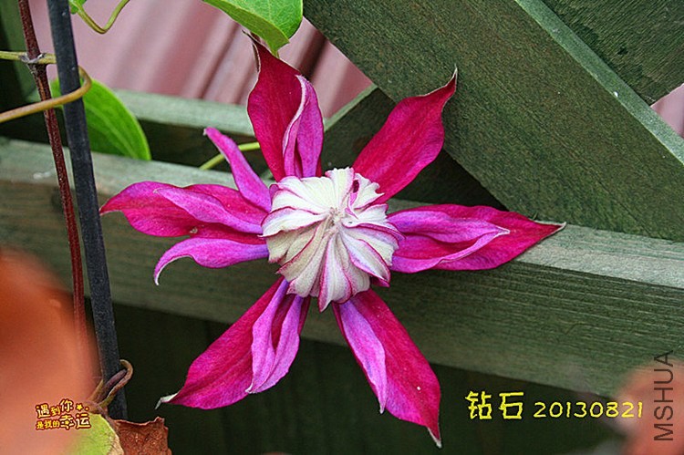 ��Ƭ 064_����_����.jpg