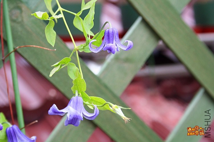 ��Ƭ 075_����.jpg