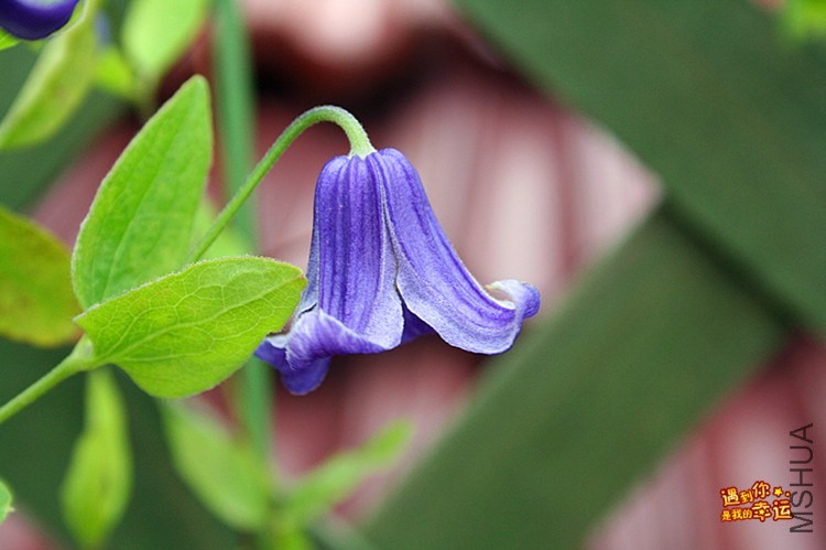 ��Ƭ 078_����.jpg