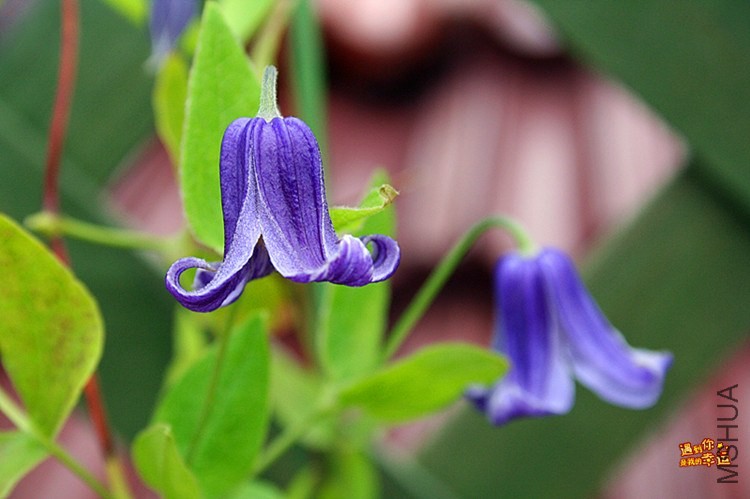 ��Ƭ 079_����.jpg