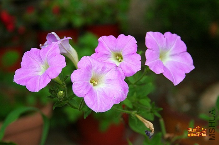 ��Ƭ 019_����.jpg