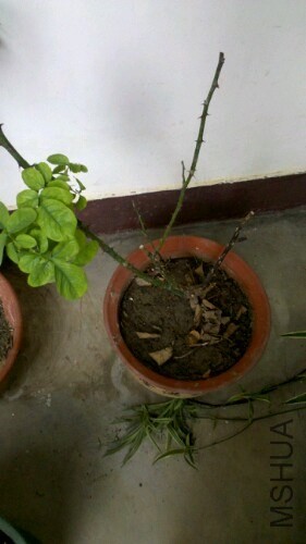 IMG20130822182236.jpg