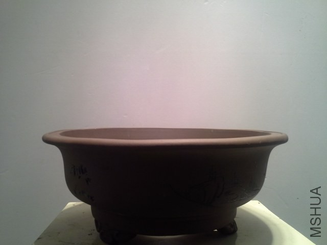 20130823_052550.jpg