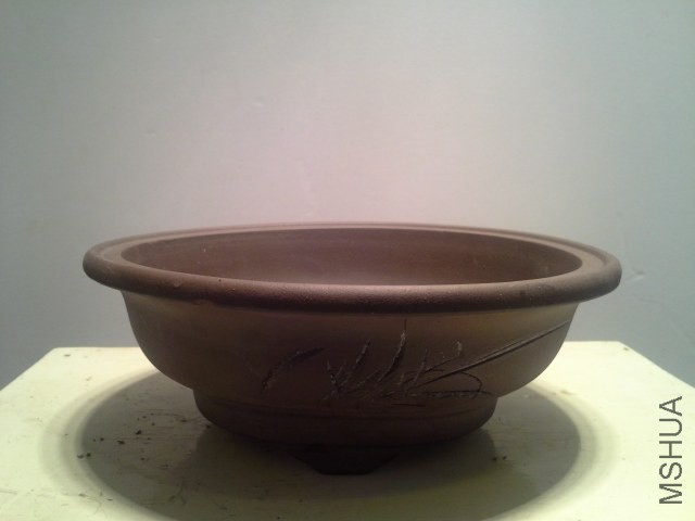 20130823_052637.jpg