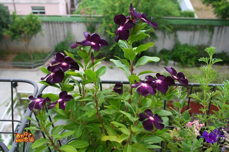 ��Ƭ 084_����.jpg