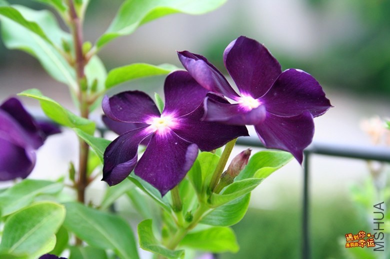 ��Ƭ 087_����.jpg