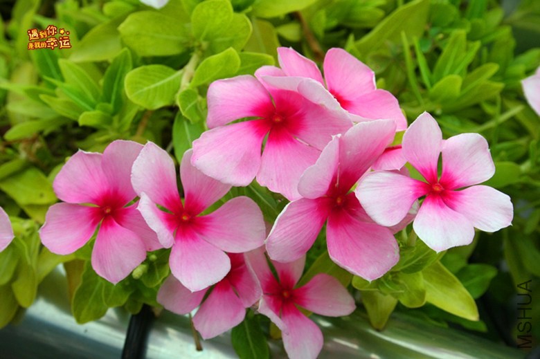 ��Ƭ 104_����.jpg