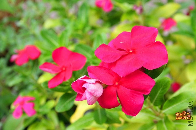 ��Ƭ 106_����.jpg