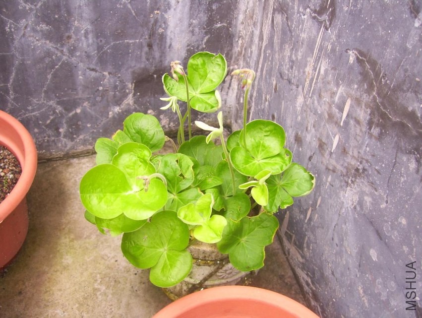 100_0691.JPG