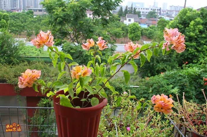 ��Ƭ 024_����.jpg