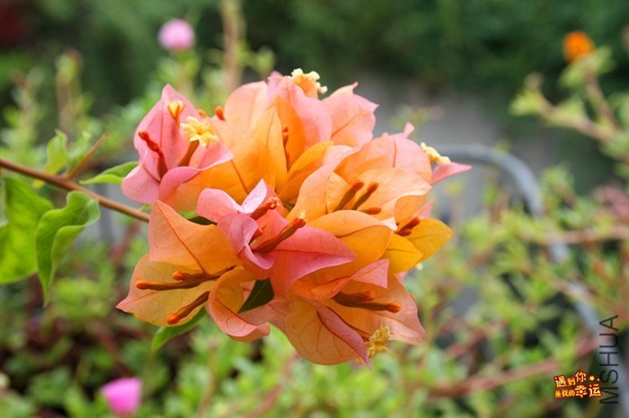 ��Ƭ 026_����.jpg