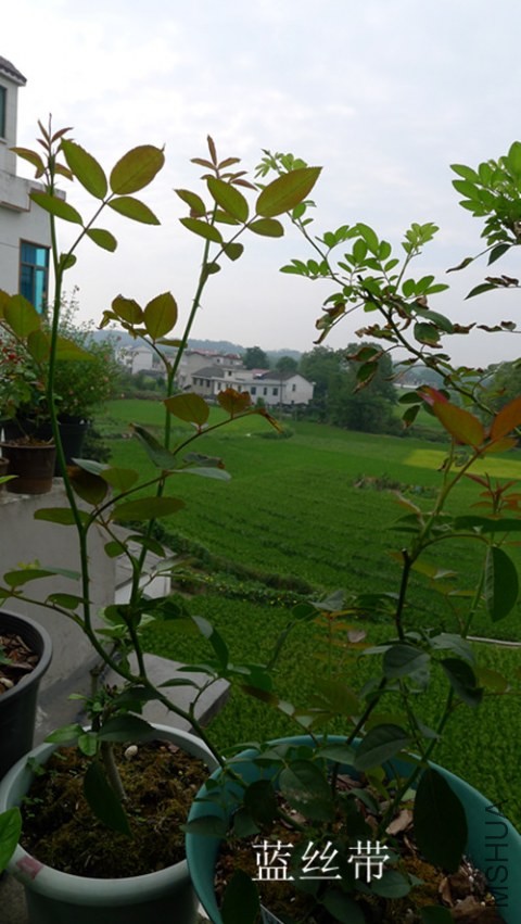 P1130346_����.jpg