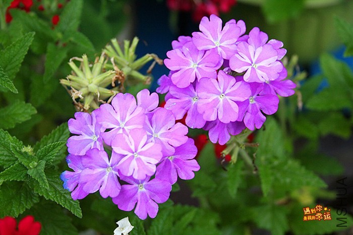 ��Ƭ 005_����.jpg