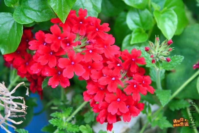 ��Ƭ 008_����.jpg