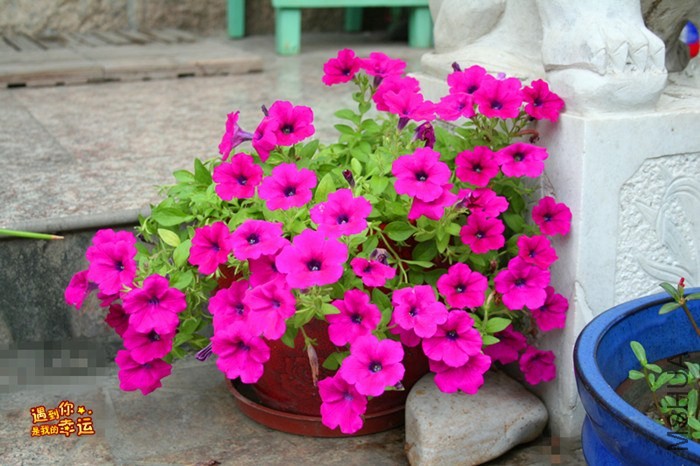 ��Ƭ 001_����.jpg