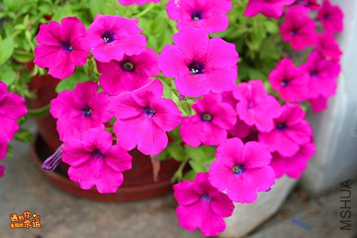 ��Ƭ 003_����.jpg