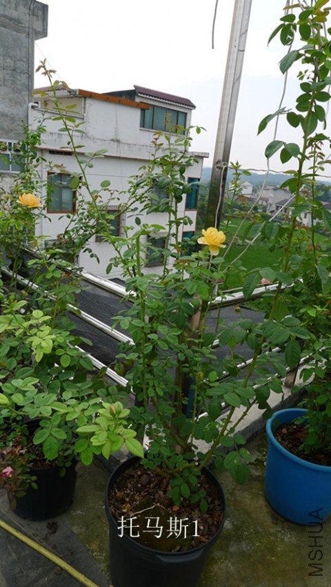 P1130380_����.jpg