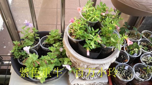 20130826_172242.jpg