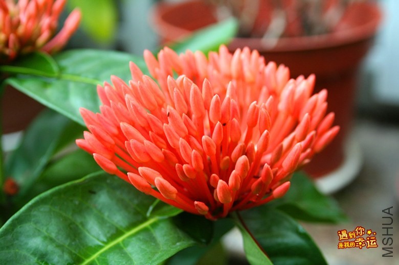 ��Ƭ 138_����.jpg