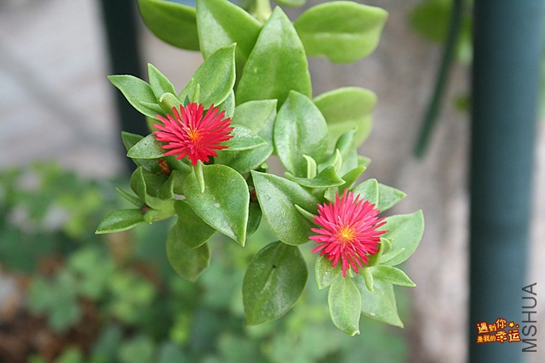 ��Ƭ 120_����.jpg