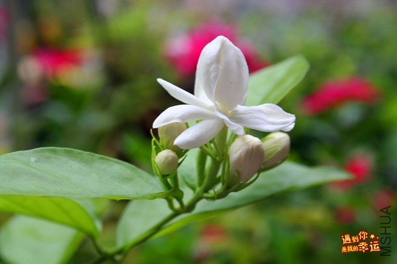 ��Ƭ 152_����.jpg