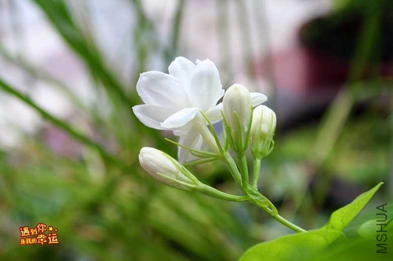 ��Ƭ 153_����.jpg