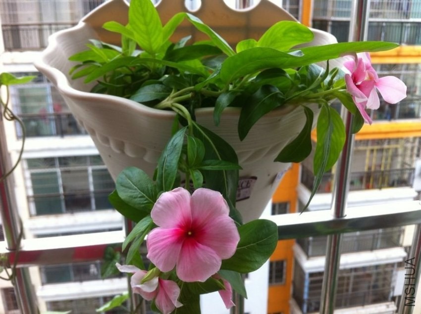 QQͼƬ20130828094655.jpg