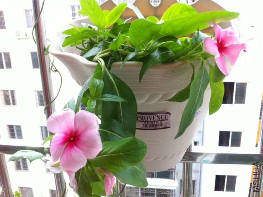 QQͼƬ20130828094705.jpg