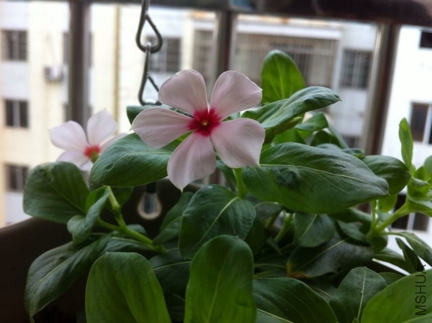 QQͼƬ20130828094718.jpg