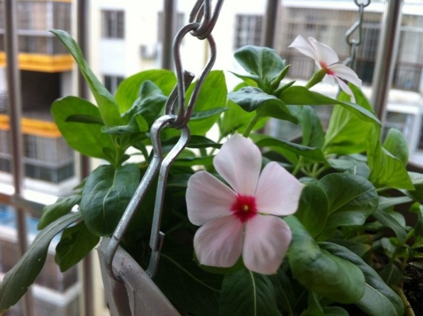 QQͼƬ20130828094721.jpg