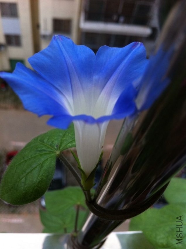 QQͼƬ20130828094725.jpg