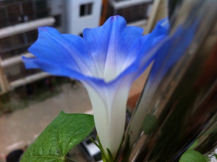 QQͼƬ20130828094730.jpg
