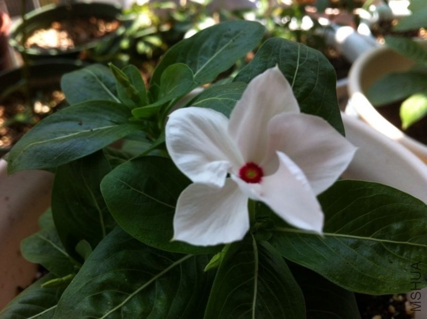 QQͼƬ20130828094737.jpg
