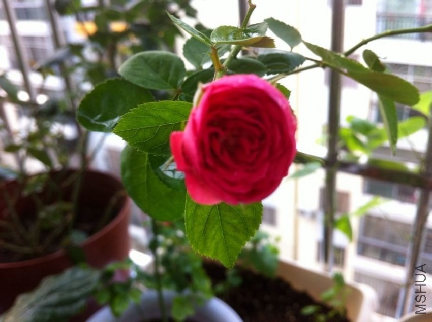QQͼƬ20130828094740.jpg