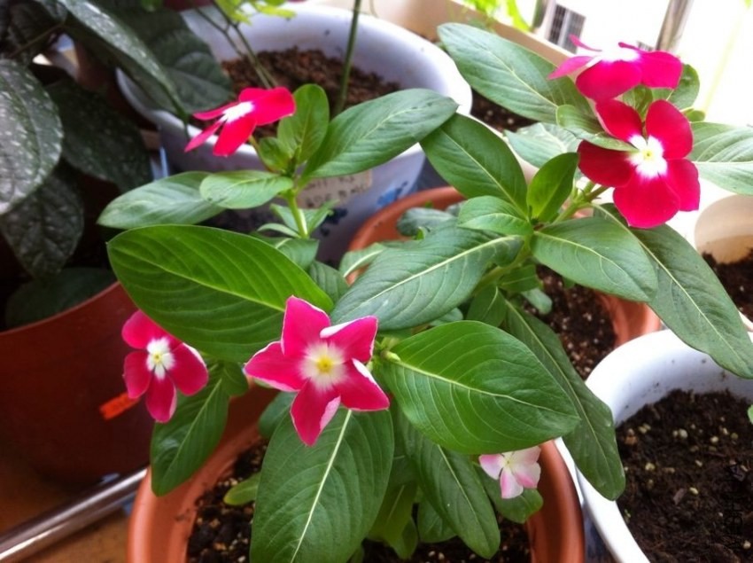 QQͼƬ20130828094747.jpg