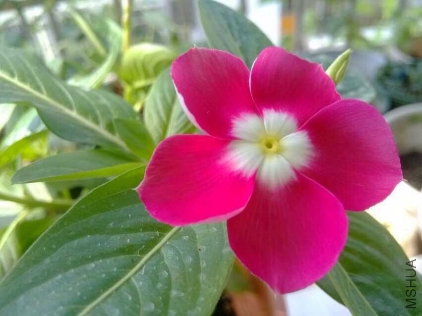 QQͼƬ20130828094750.jpg