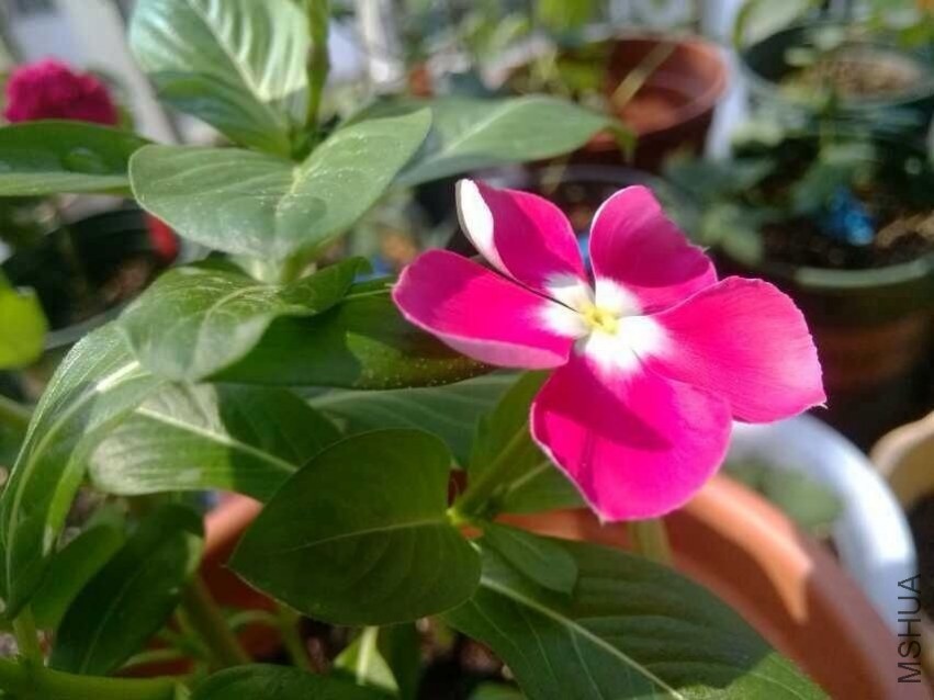 QQͼƬ20130828094754.jpg