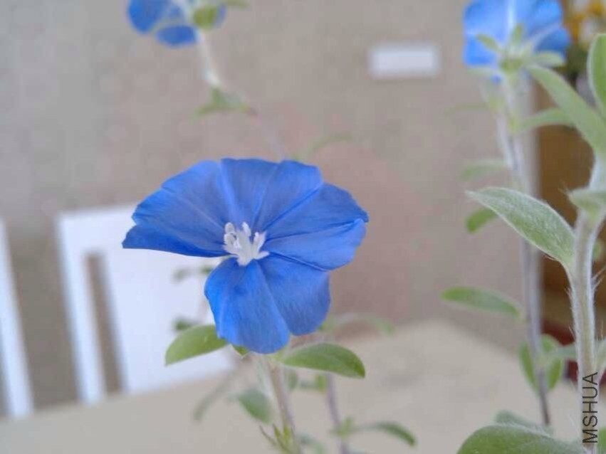 QQͼƬ20130828094757.jpg