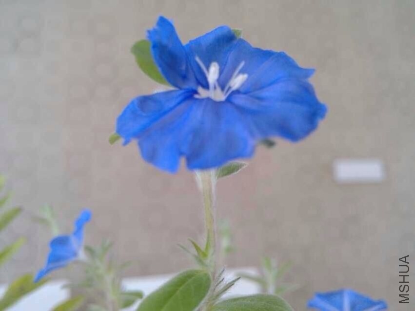QQͼƬ20130828094800.jpg