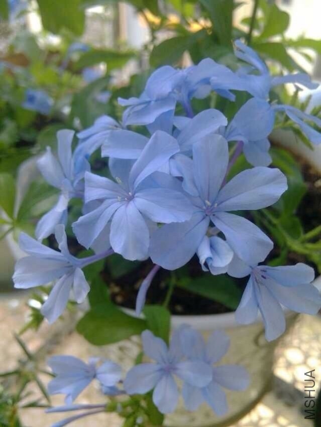 QQͼƬ20130828094807.jpg