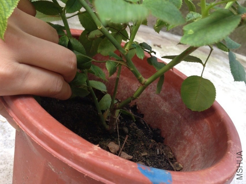 QQͼƬ20130828140909.jpg