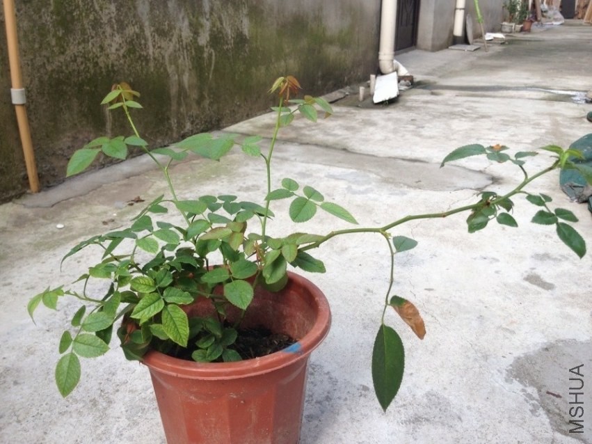 QQͼƬ20130828145632.jpg