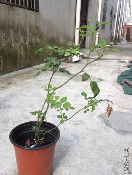 QQͼƬ20130828145644.jpg